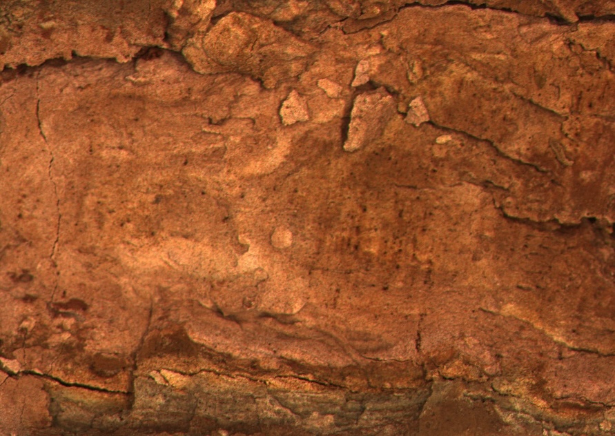 Red Clay