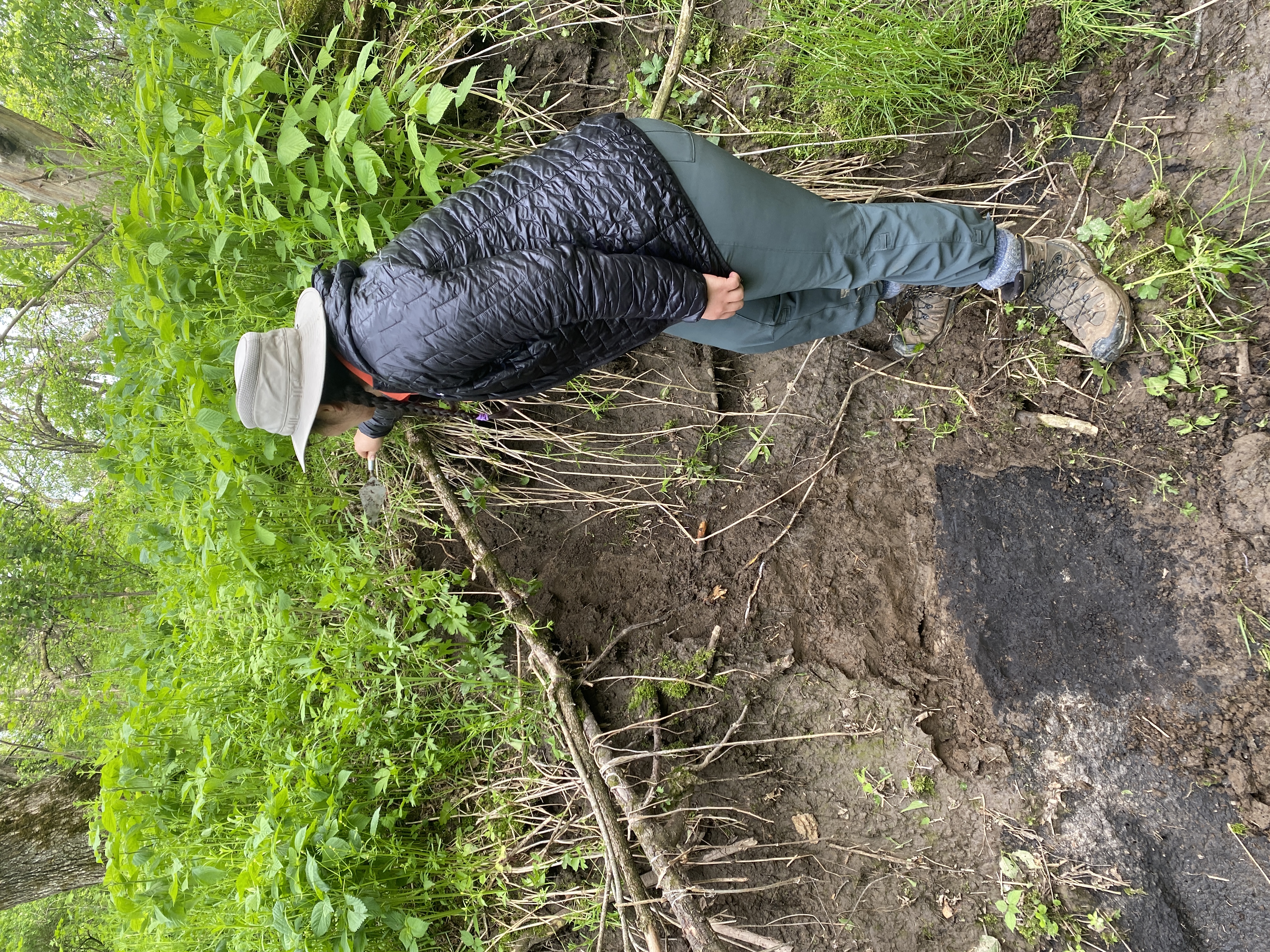 Buried Soil